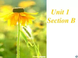 Unit 1 Section B