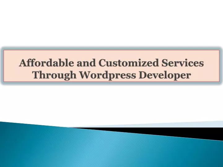 affordable and customized services through wordpress developer
