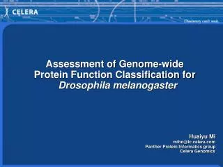 Assessment of Genome-wide Protein Function Classification for Drosophila melanogaster Huaiyu Mi