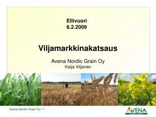 Viljamarkkinakatsaus Avena Nordic Grain Oy Kaija Viljanen