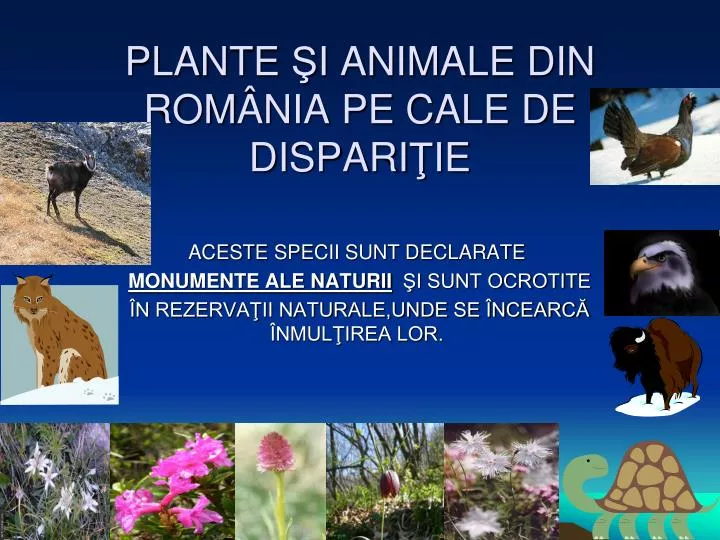 plante i animale din rom nia pe cal e de dispari ie