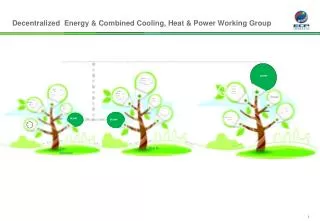 Decentralized Energy &amp; Combined Cooling, Heat &amp; Power Working Group