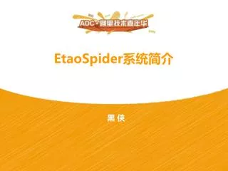 EtaoSpider 系统简介