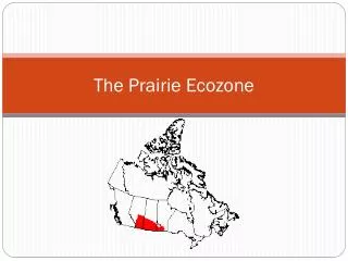 The Prairie Ecozone