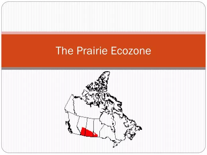 the prairie ecozone