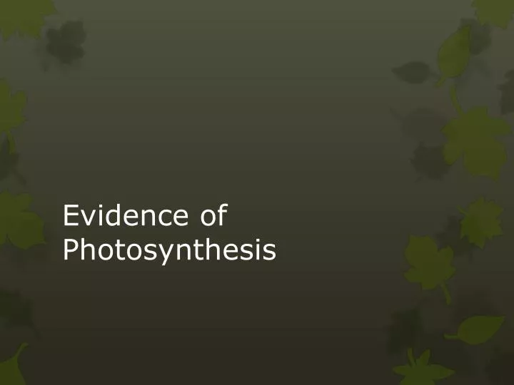 evidence of photosynthesis