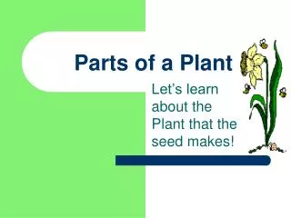 Parts of a Plant