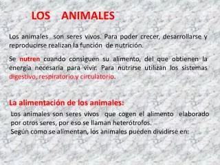 LOS ANIMALES