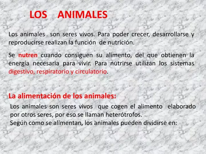 PPT - LOS ANIMALES PowerPoint Presentation, free download - ID:7105491