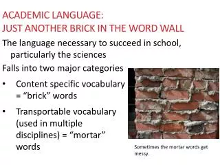 Academic language: Just another brick in the Word Wall