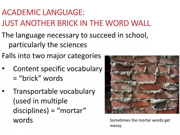 academic language just another brick in the word wall