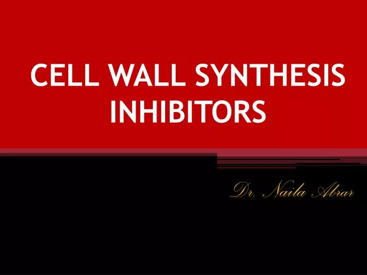 cell wall synthesis inhibitors