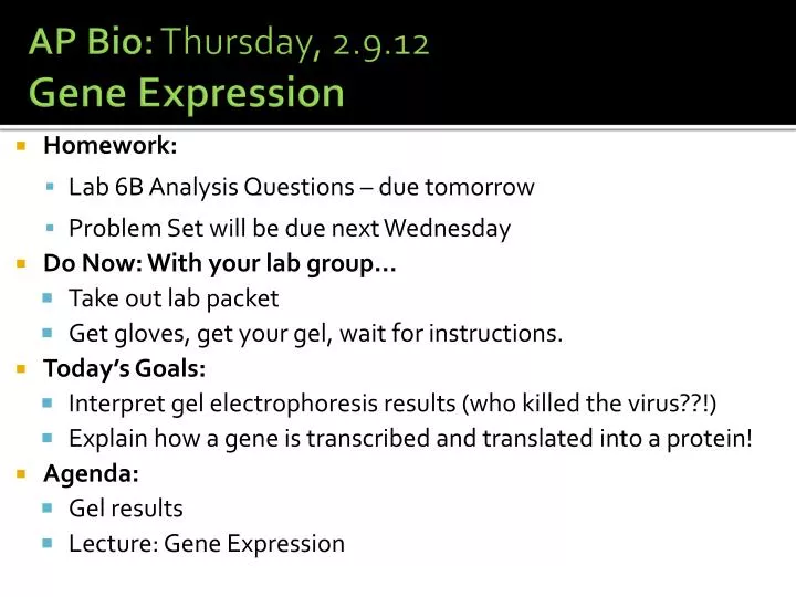 ap bio thursday 2 9 12 gene expression