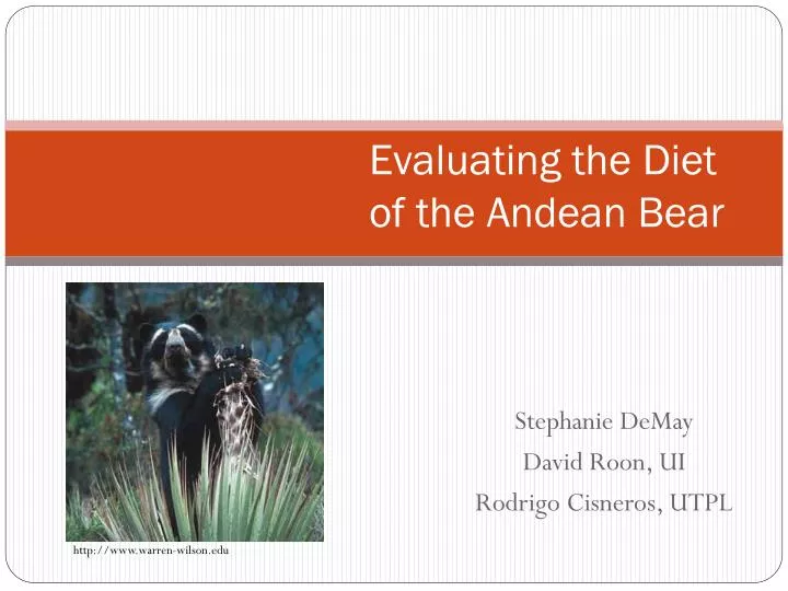 evaluating the diet of the andean bear