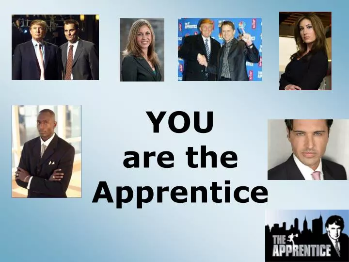 you are the apprentice