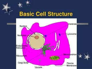 Basic Cell Structure
