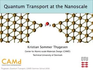 Quantum Transport at the Nanoscale