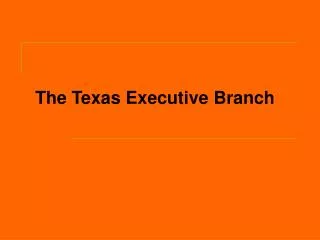 The Texas Executive Branch