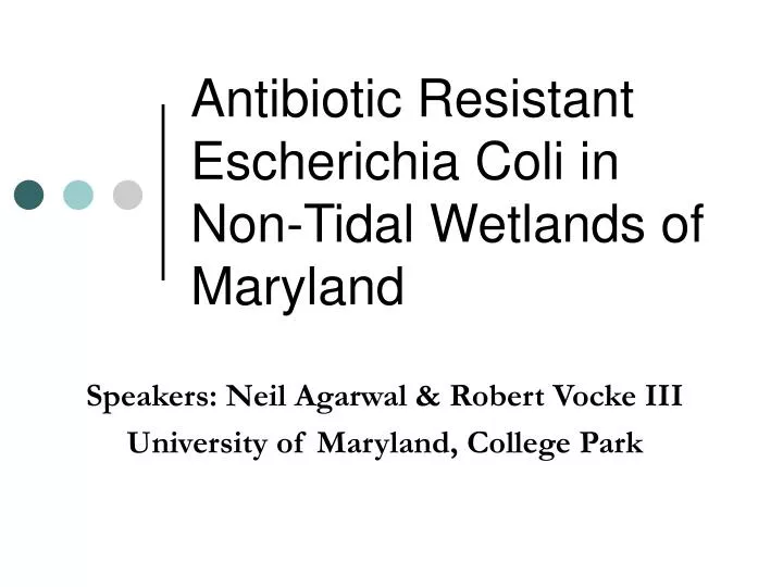 antibiotic resistant escherichia coli in non tidal wetlands of maryland