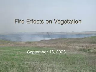 Fire Effects on Vegetation