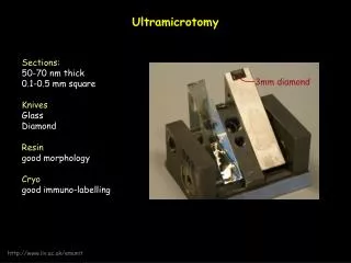 Ultramicrotomy