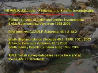 US AMLR data sets - Finfishes and Benthic Invertebrates