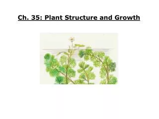 Ch. 35: Plant Structure and Growth