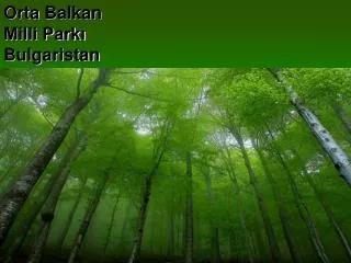 Orta Balkan Milli Parkı Bulgaristan