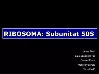RIBOSOMA: Subunitat 50S