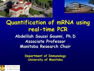 Abdelilah Soussi Gounni, Ph.D Associate Professor Manitoba Research Chair