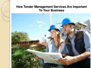 How Tender Management Services Are Important To Your Busines