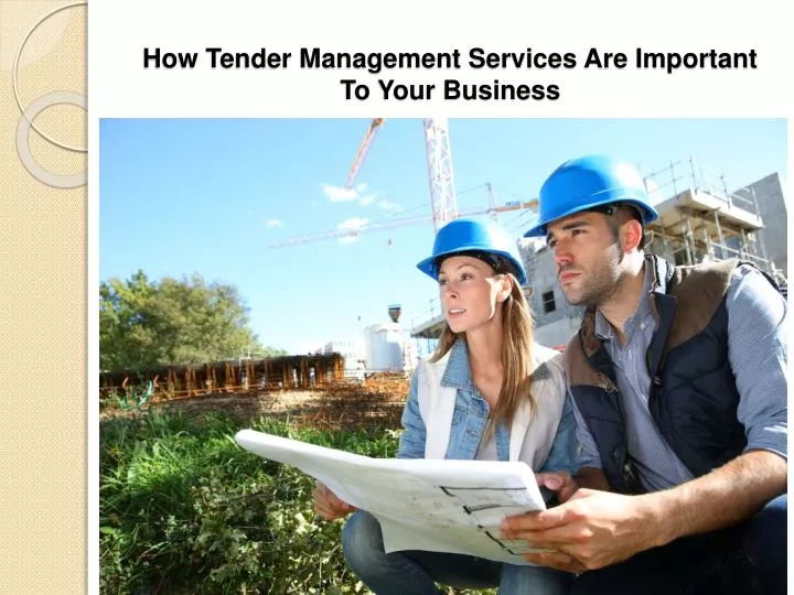 how tender management services are important to your business