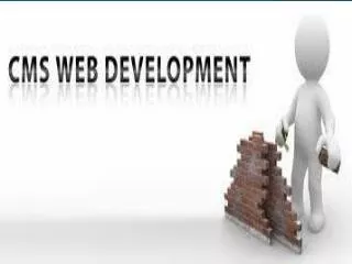 Perk Up Your Website with CMS Development