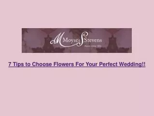 7 Tips to Choose Flowers For Your Perfect Wedding