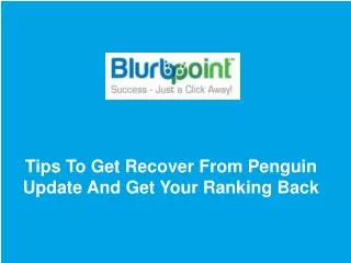 Tips To Get Recover From Penguin Update And Get Your Ranking