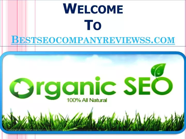welcome to bestseocompanyreviewss com