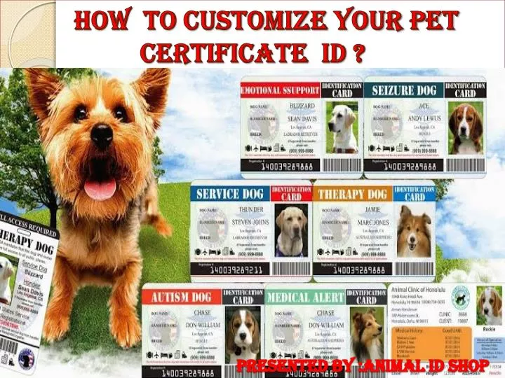 how to customize your pet certificate id