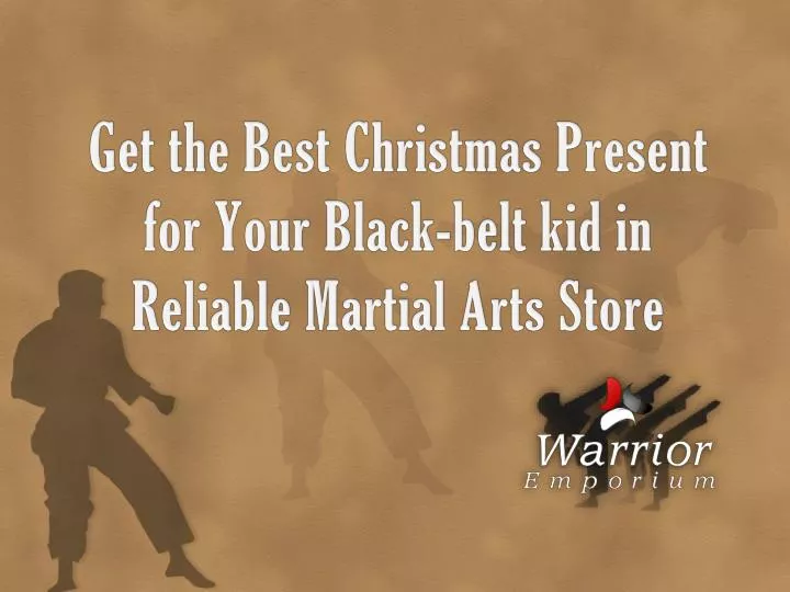get the best christmas present for your black belt kid in reliable martial arts store