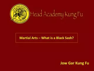 Martial Arts – What is a Black Sash?