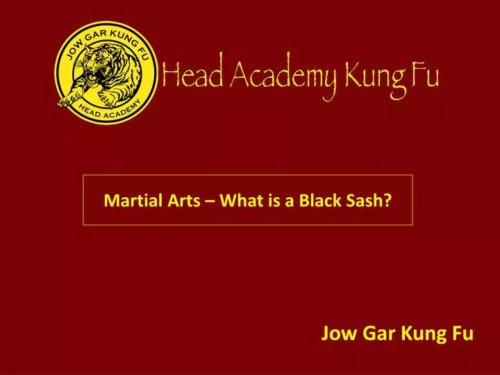 martial arts what is a black sash