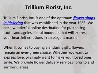 Funeral Flowers Etiquette