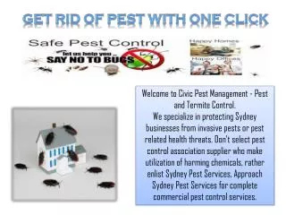 Get Rid of Pest With One Click