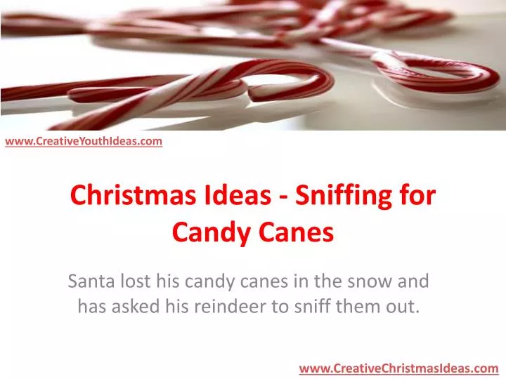 christmas ideas sniffing for candy canes
