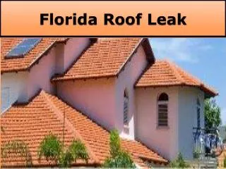 Welcome To The Florida Roof Leak