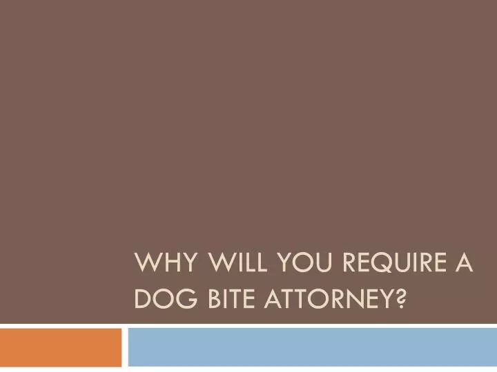 why will you require a dog bite attorney