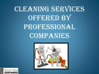 Cleaning Services Offered by Professional Companies