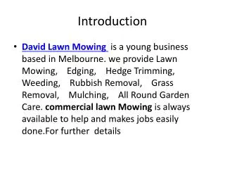 David Lawn Mowing