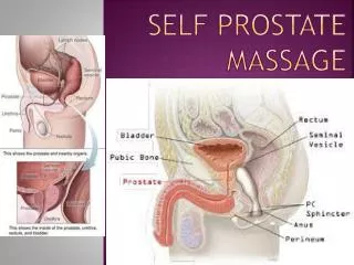 Self Prostate Massage
