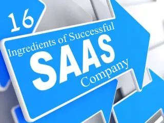Ingredients of a successful saas company