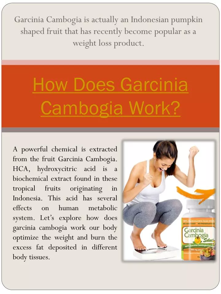 how does garcinia cambogia work